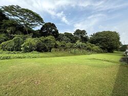 Springleaf Garden (D26), Semi-Detached #482002951